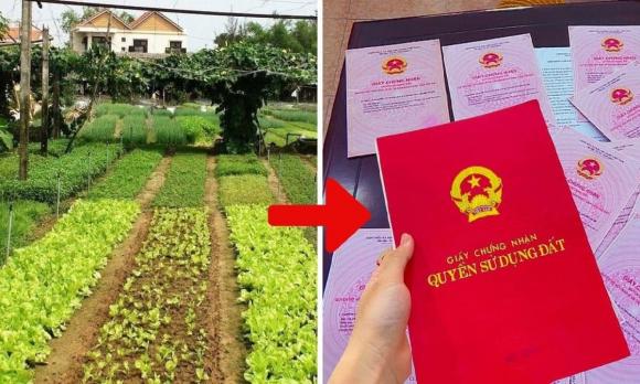 nốt ruồi son, tử vi, tướng mặt