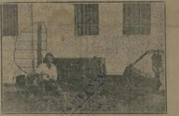 kiến thức, chuyện lạ