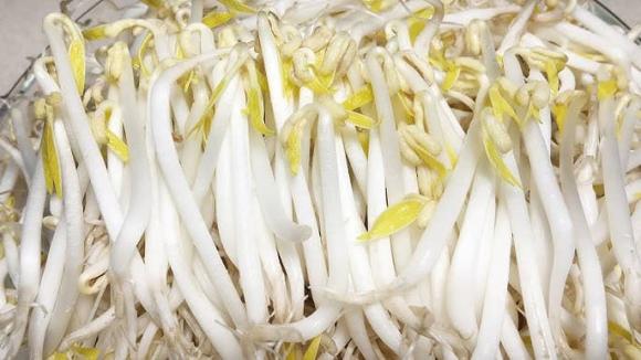 giá đỗ, giá đỗ ngâm hóa chất, kiến thức 
