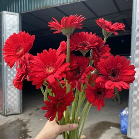 bàn thờ, bàn thờ thần tài, kiến thức 