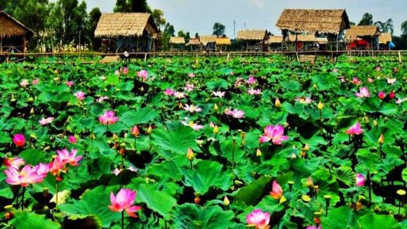 Tết nguyên đán 2025, địa điểm du lịch tết