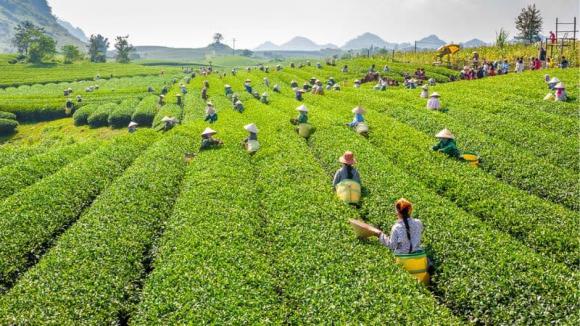Tết nguyên đán 2025, địa điểm du lịch tết