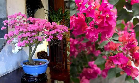 cặn ấm, vệ sinh, ấm đun nước