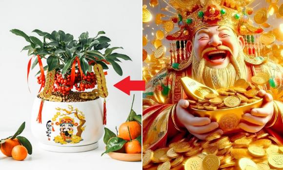 cây phòng khách, cây cảnh