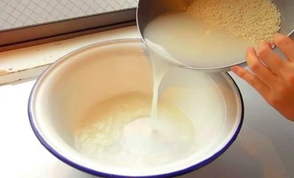 mẹo vặt, cách trồng hoa tết