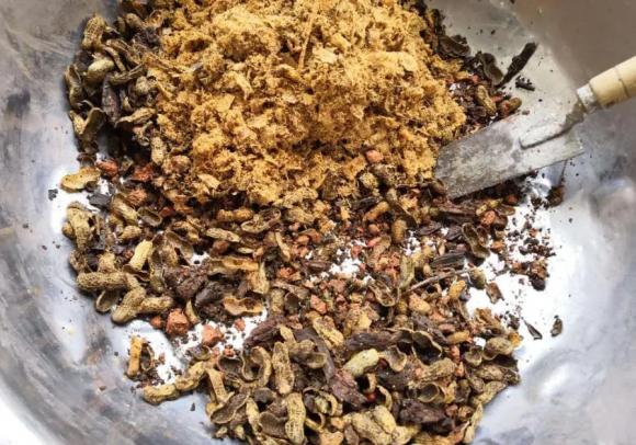 chăm sóc cây, bón phân
