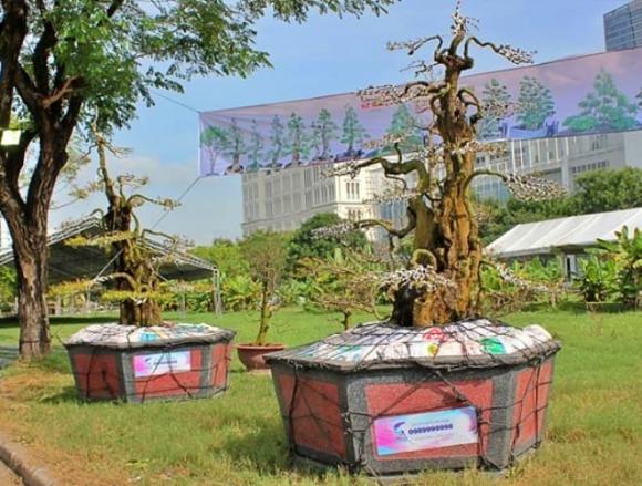 Cặp khế 300 tuổi, cây khế 15 tỷ, nghệ nhân Ba Hùng, Cặp khế dáng quân tử, Cặp khế cảnh