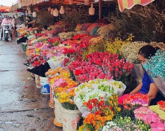 chợ hoa, chợ hoa quảng bá, chợ hoa Hà Nội 
