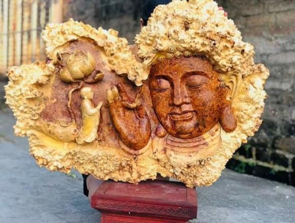 Gỗ trinh nam, gỗ quý