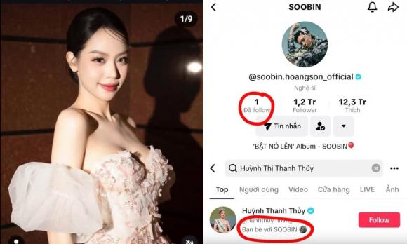 ca sĩ Soobin Hoàng Sơn,sao Việt