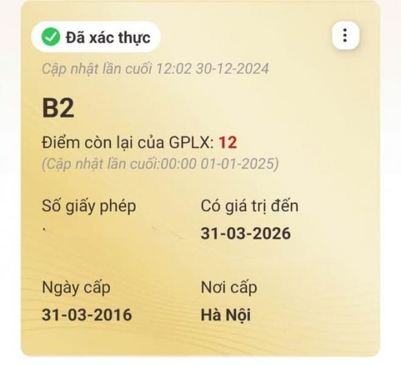 Trừ điểm giấy phép lái xe, GPLX