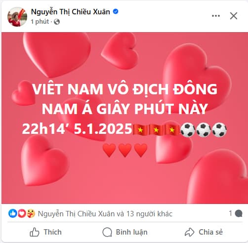 Sao việt, AFF Cup 2024 