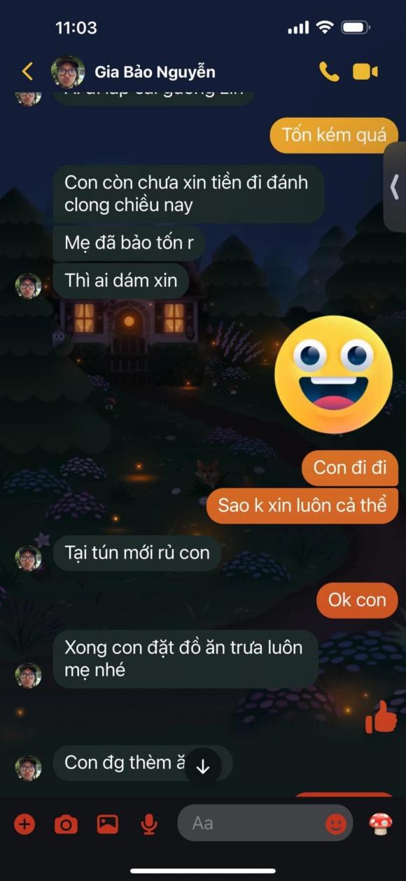 MC Thảo Vân, con trai Thảo Vân, sao Việt