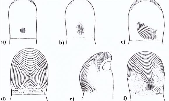 Tại sao trên thế giới không có dấu vân tay giống nhau?
