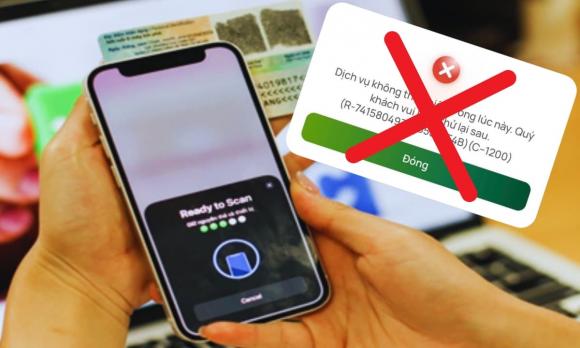 trồng cây cảnh, bón phân, hoa hồng