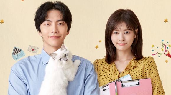 phim hàn hay, phim về hôn nhân hợp đồng, kdrama