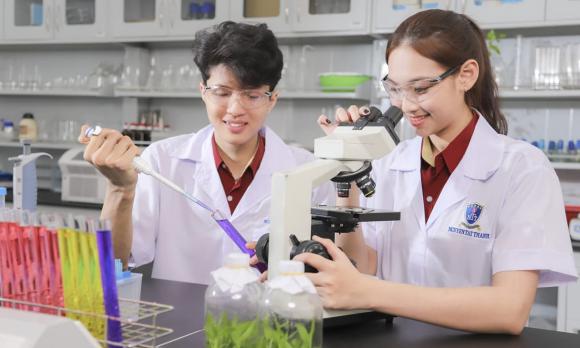 ngành nghề, chọn ngành nghề, kiến thức 