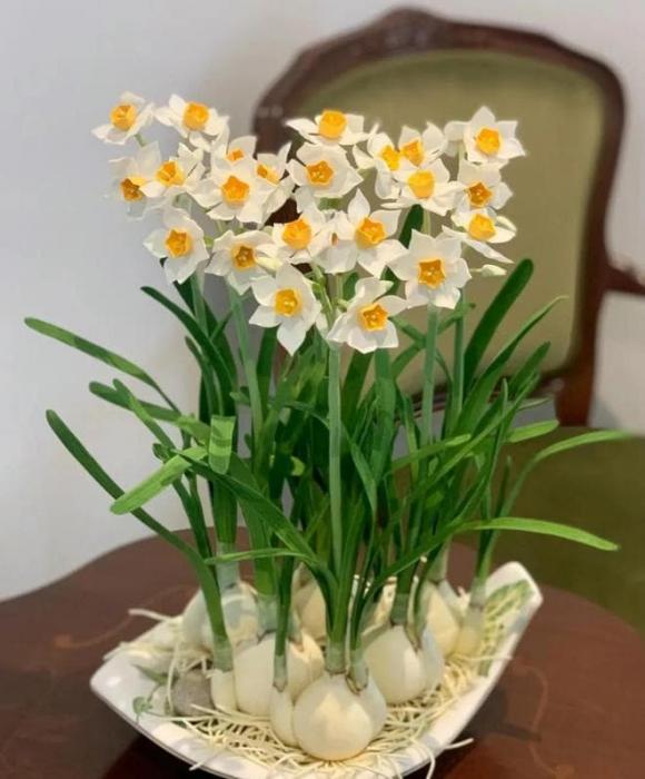 trắc nghiệm tâm lý