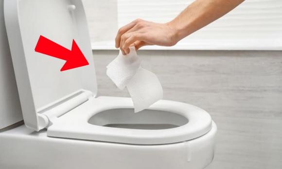 ngồi bồn cầu, nhà vệ sinh, vệ sinh đúng cách, Cách ngồi trên bồn cầu