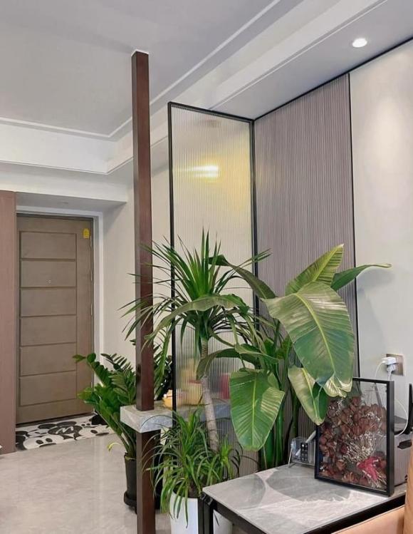 Phong thuỷ nhà ở, cây phong thuỷ