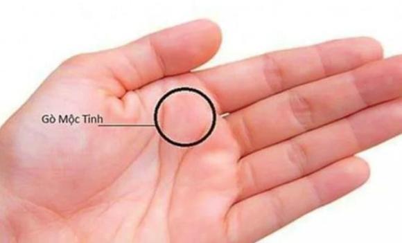tử vi, tướng số, dấu hiệu phú quý, điềm báo nghèo khó