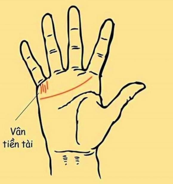 tử vi, tướng số, dấu hiệu phú quý, điềm báo nghèo khó