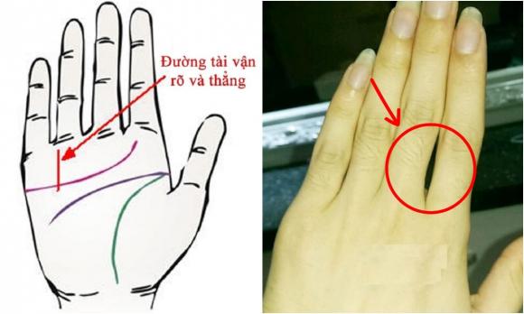bàn tay, bàn tay giàu có, kiến thức 