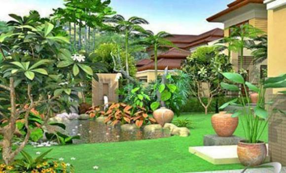 cây mang khí âm, cây dễ mang hoạ, phong thuỷ