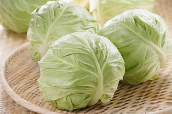 Bắp cải, bắp cải tròn, bắp cải bầu dục