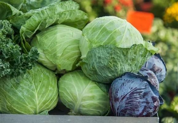 Loại rau chứa nhiều thuốc sâu nhất, kiến thức