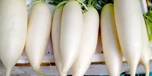 củ cải, thực phẩm kị nhau