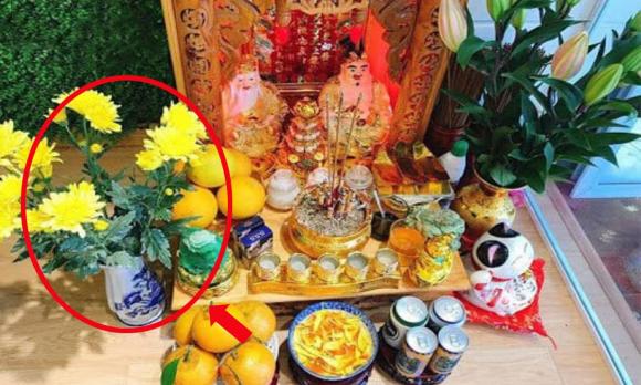 Hoa cảnh, cây cảnh, phong thủy cây cảnh, loại cây không nên tặng
