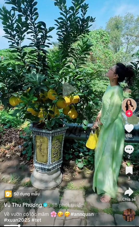 Siêu mẫu Vũ Thu Phương,sao Việt