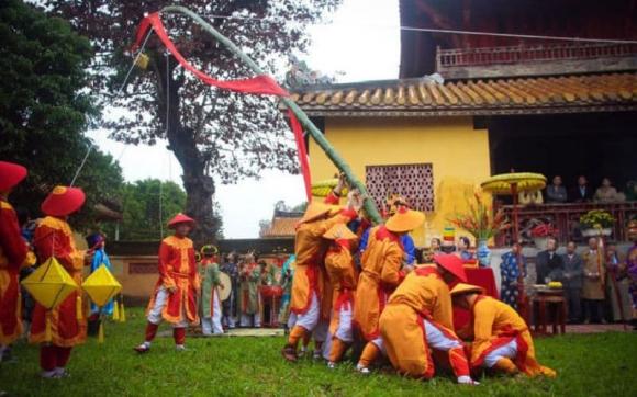 Cây nêu là cây gì,