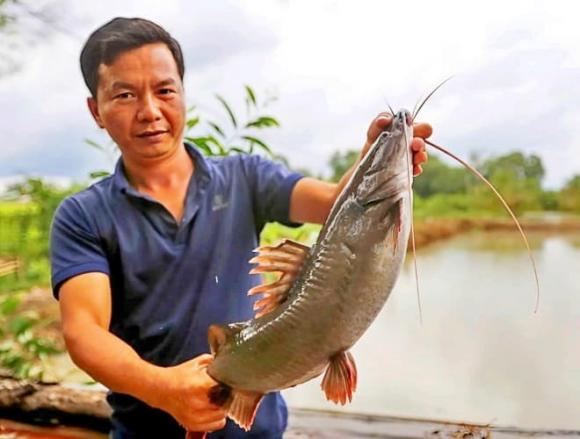 Cá lăng đuôi đỏ, thuỷ quái, nông sản Việt Nam