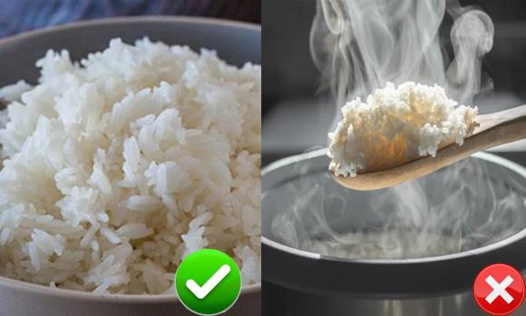 Ăn cơm nguội có lợi cho sức khỏe hơn cơm nóng? Câu trả lời khoa học sẽ làm bạn bất ngờ và thay đổi thói quen ăn uống