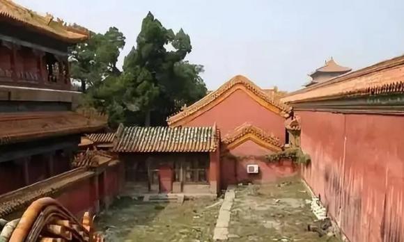Tử Cấm Thành, lãnh cung