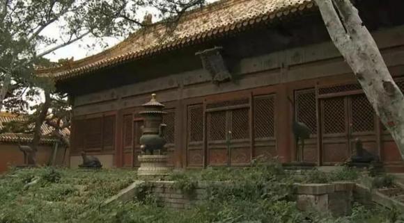 Tử Cấm Thành, lãnh cung