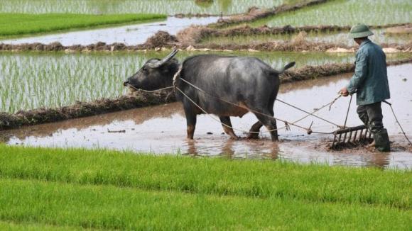 dự báo, dự báo 2025, kiến thức 