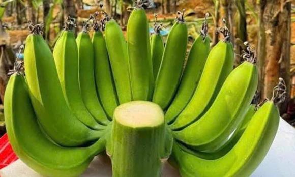 lưu ý khi mua chuối ngày tết, mua chuối ngày tết, chuối xanh