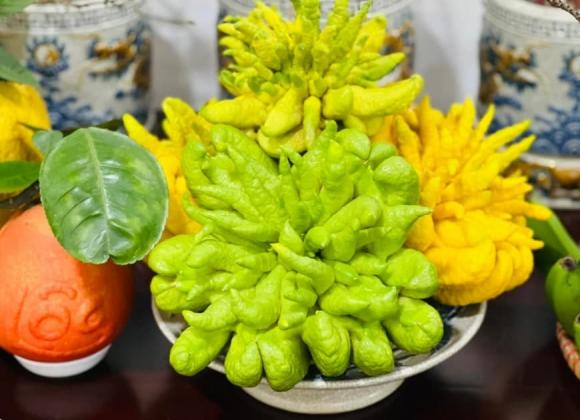 quả phật thủ, quả phật thủ ngày tết, thắp hương quả phật thủ ngày tết