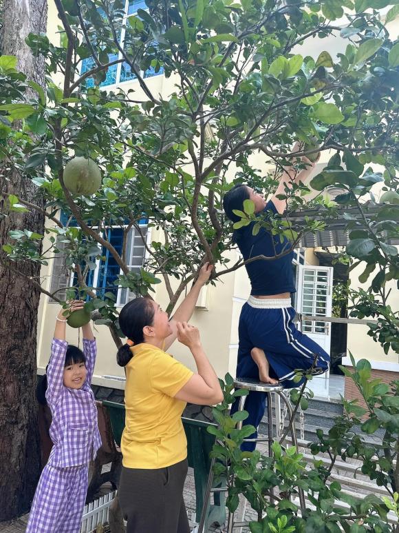 Sao Việt 26/1, tin sao việt mới nhất, Tuấn Linh, Bình An