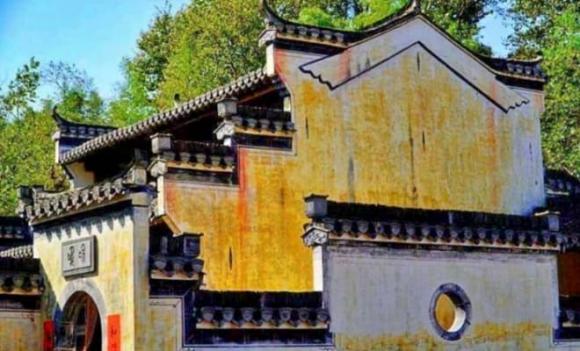 gỗ quý, gỗ quý hơn kim cương, gỗ Kim tơ nam mộc