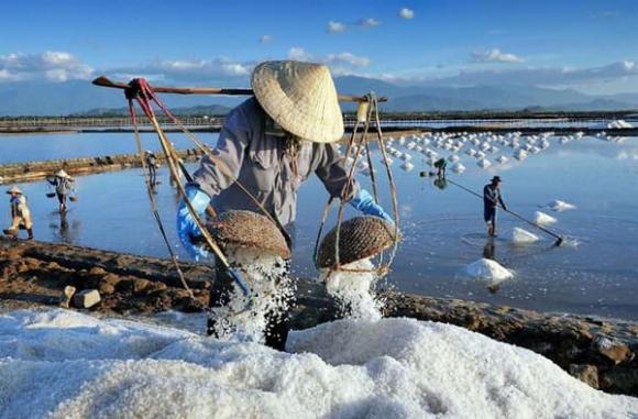 thủ phủ muối của Việt Nam, Ninh thuận