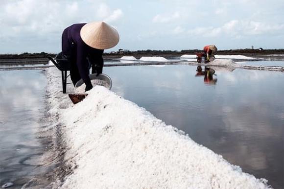 thủ phủ muối của Việt Nam, Ninh thuận