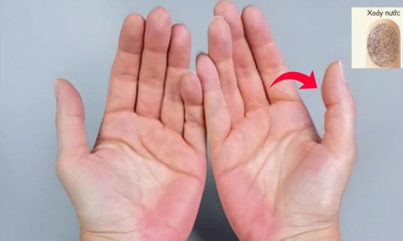 bàn tay búp măng, tay búp măng, kiến thức