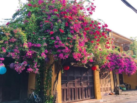 cửa nhà, trước cửa nhà, phong thủy 
