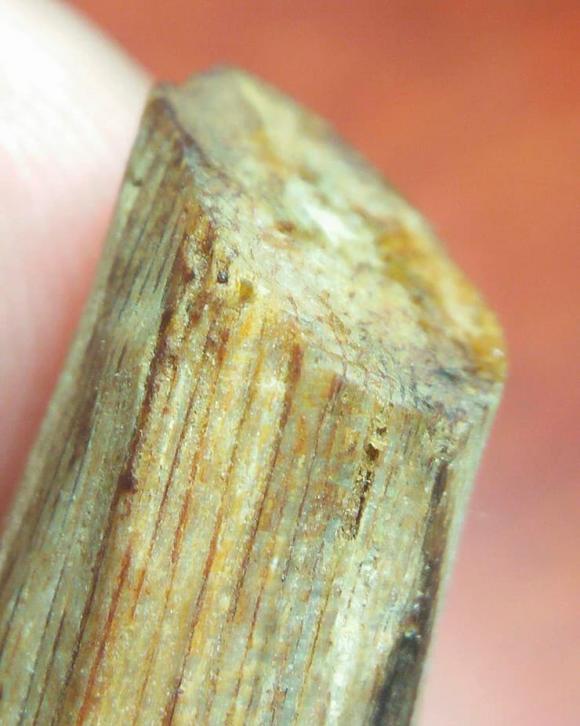 Gỗ quý, kỳ nam