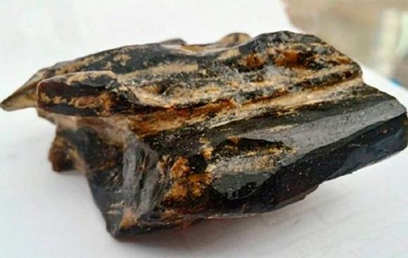 Gỗ quý, kỳ nam