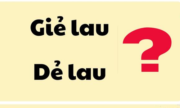 Dẻ lau, giẻ lau, chính tả